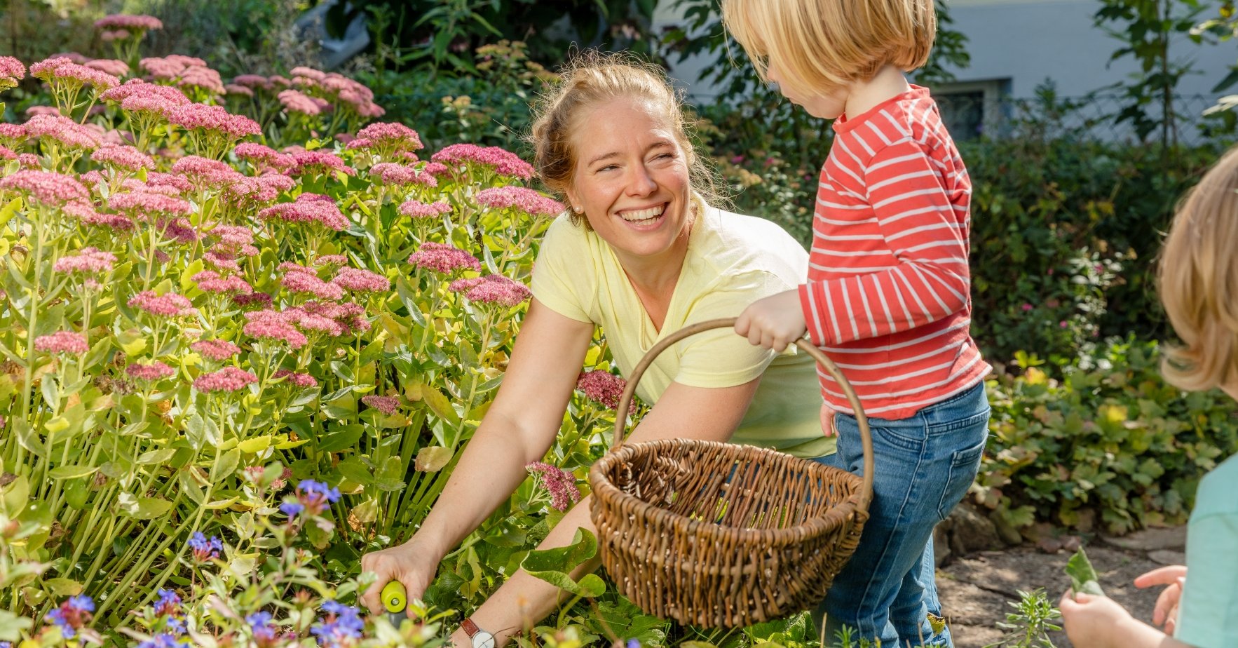 Vi står sammen og oppnår mer med naturen som forbilde Vi står sammen og oppnår mer med naturen som forbilde