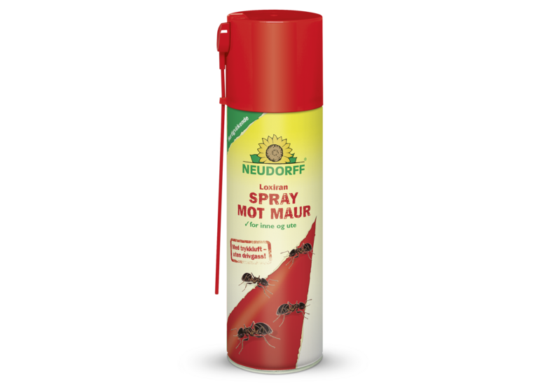Loxiran Spray Mot Maur